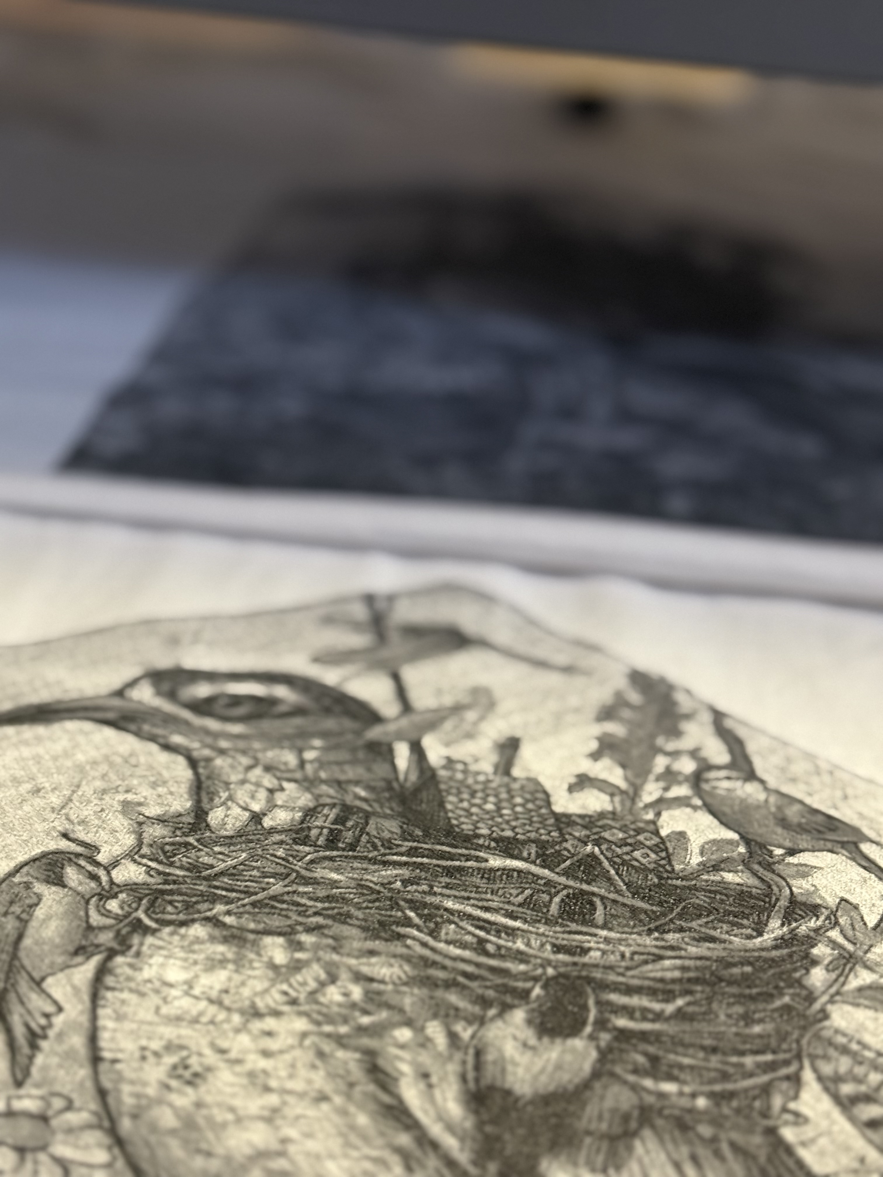 alegriadelprado pour notoriousbrandfr / 2 couleurs tramés